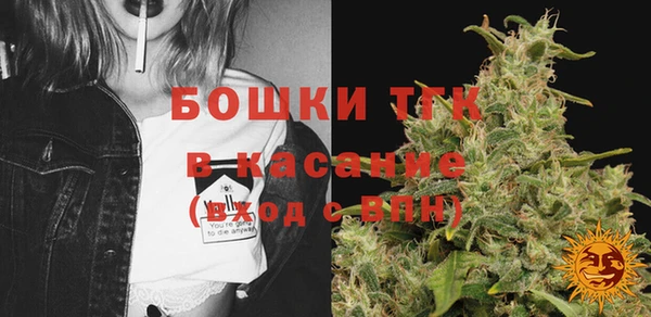 PSILOCYBIN Сатка